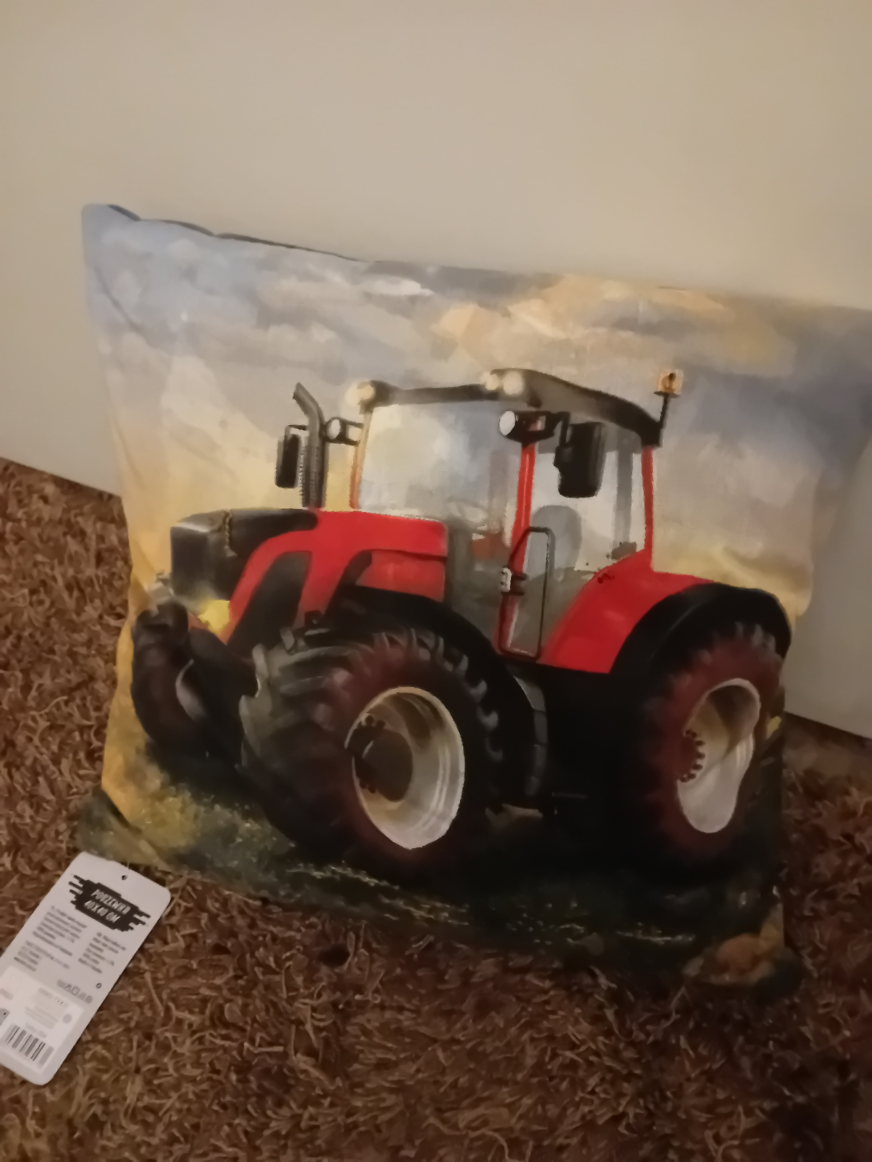 Cushion from Case