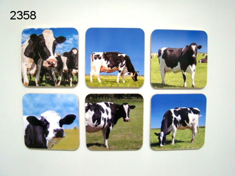 Cow Coasters