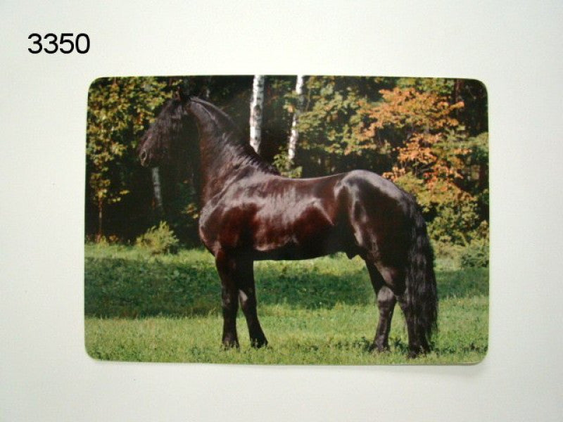 Frisian horse placemat