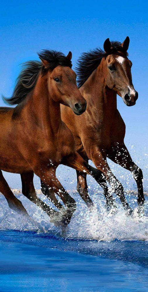 Badet uch am Strand mit 2 braunen Pferden 70x140 cm