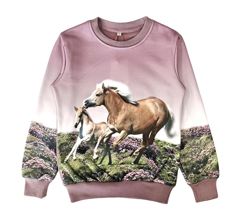 Oud roze trui met paarden