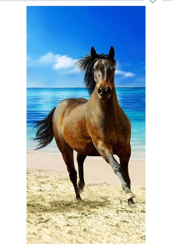 Badet uch am Strand mit braunem Pferd 70x140 cm