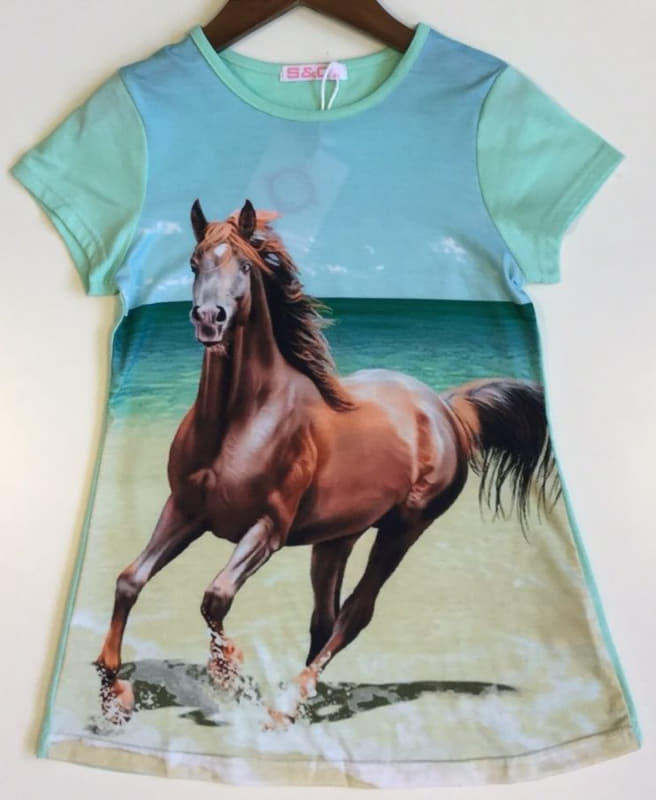 Chemise cheval cheval sur la plage