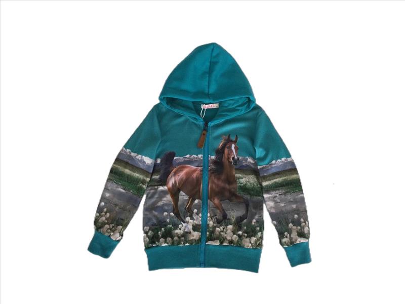 blue vest with horse