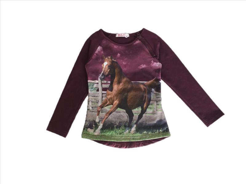 Longsleeve aubergine met paard met rits