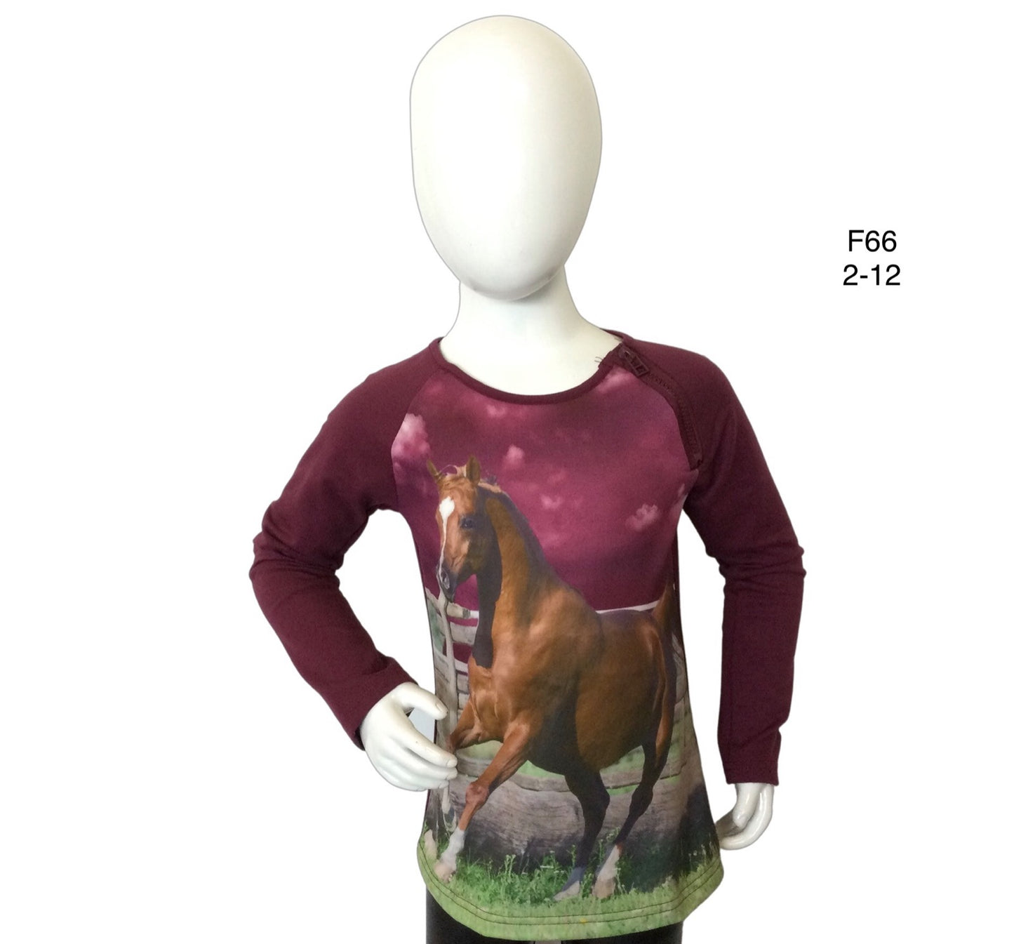 Longsleeve aubergine met paard met rits