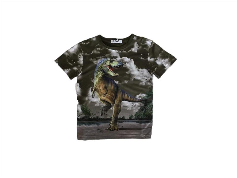 Big shirt Dinosaurus Rex