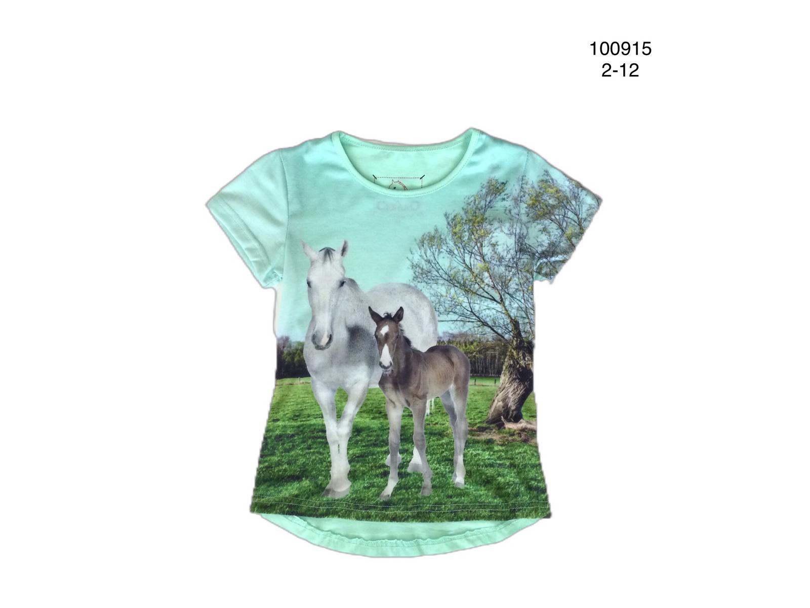 Chemise verte avec cheval et poulain