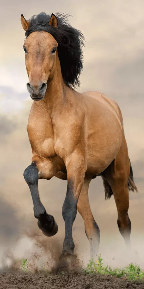 Badhanddoek bruin paard 70 x 140 cm
